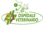 OSPEDALE DEGLI ANIMALI – H24 | 7/7